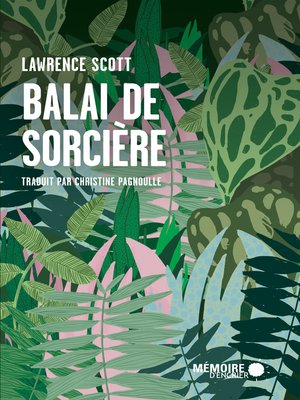 cover image of Balai de sorcière